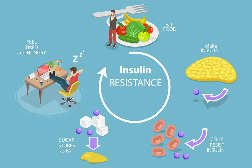 insulin resistance graphic